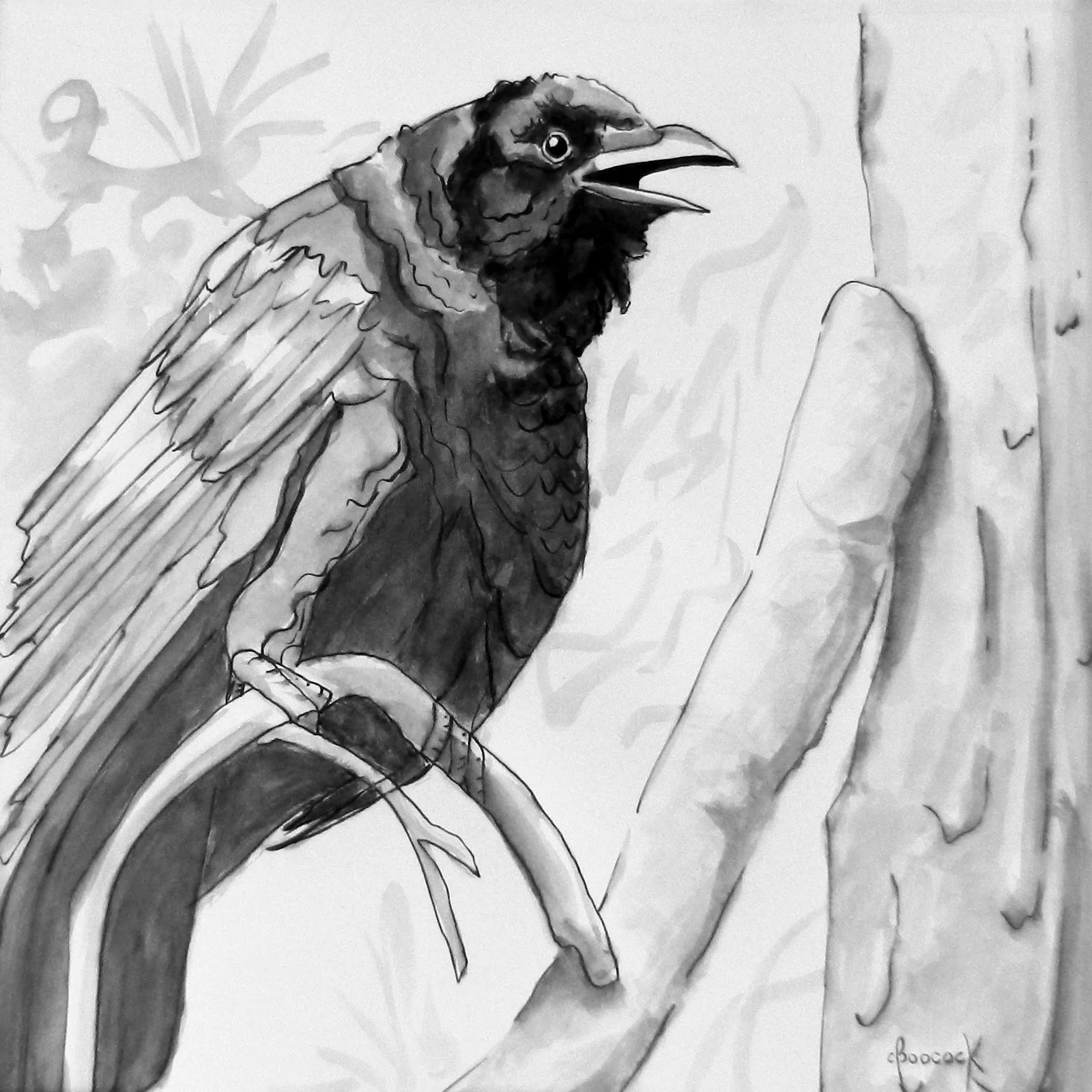 Copy of Not Blind Yet