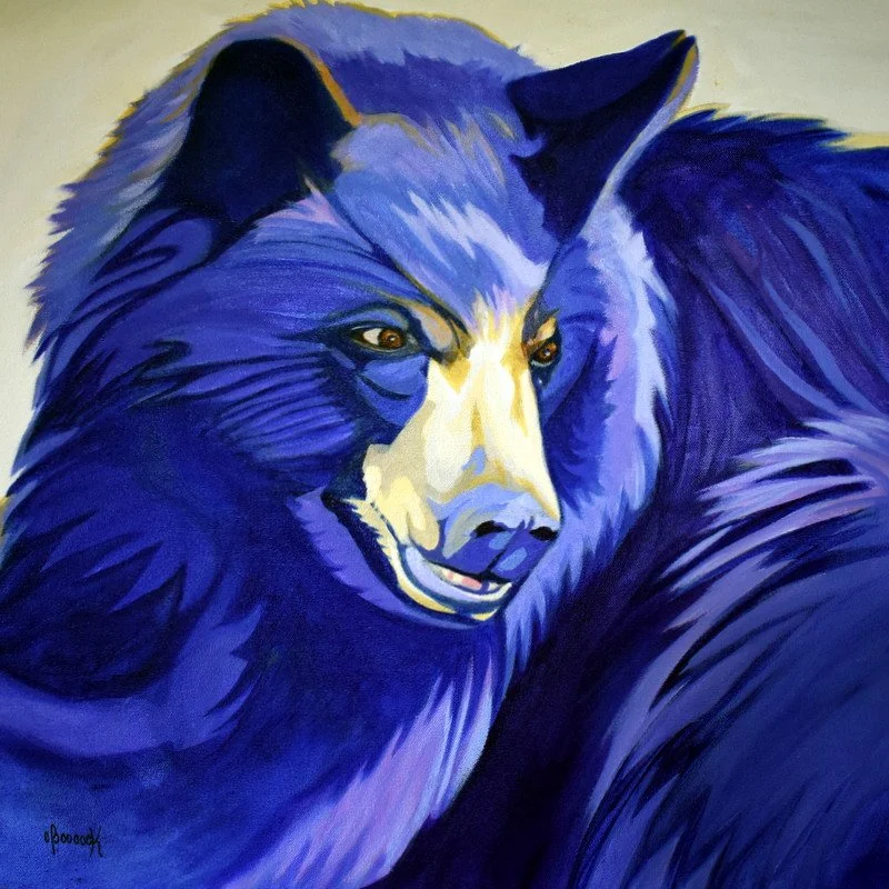 Wildlife Series 2016-2024