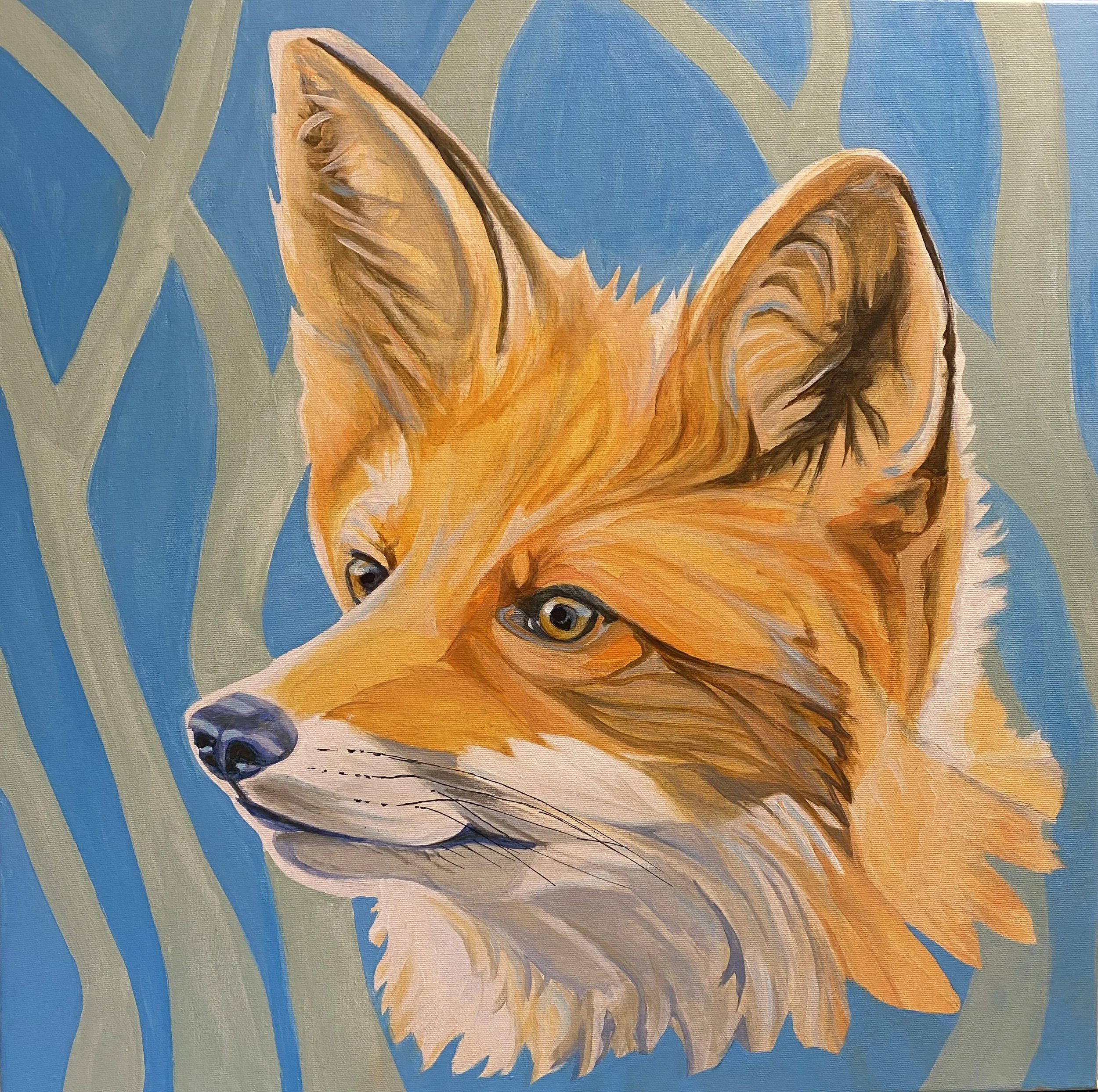 Wildlife Series 2016-2025