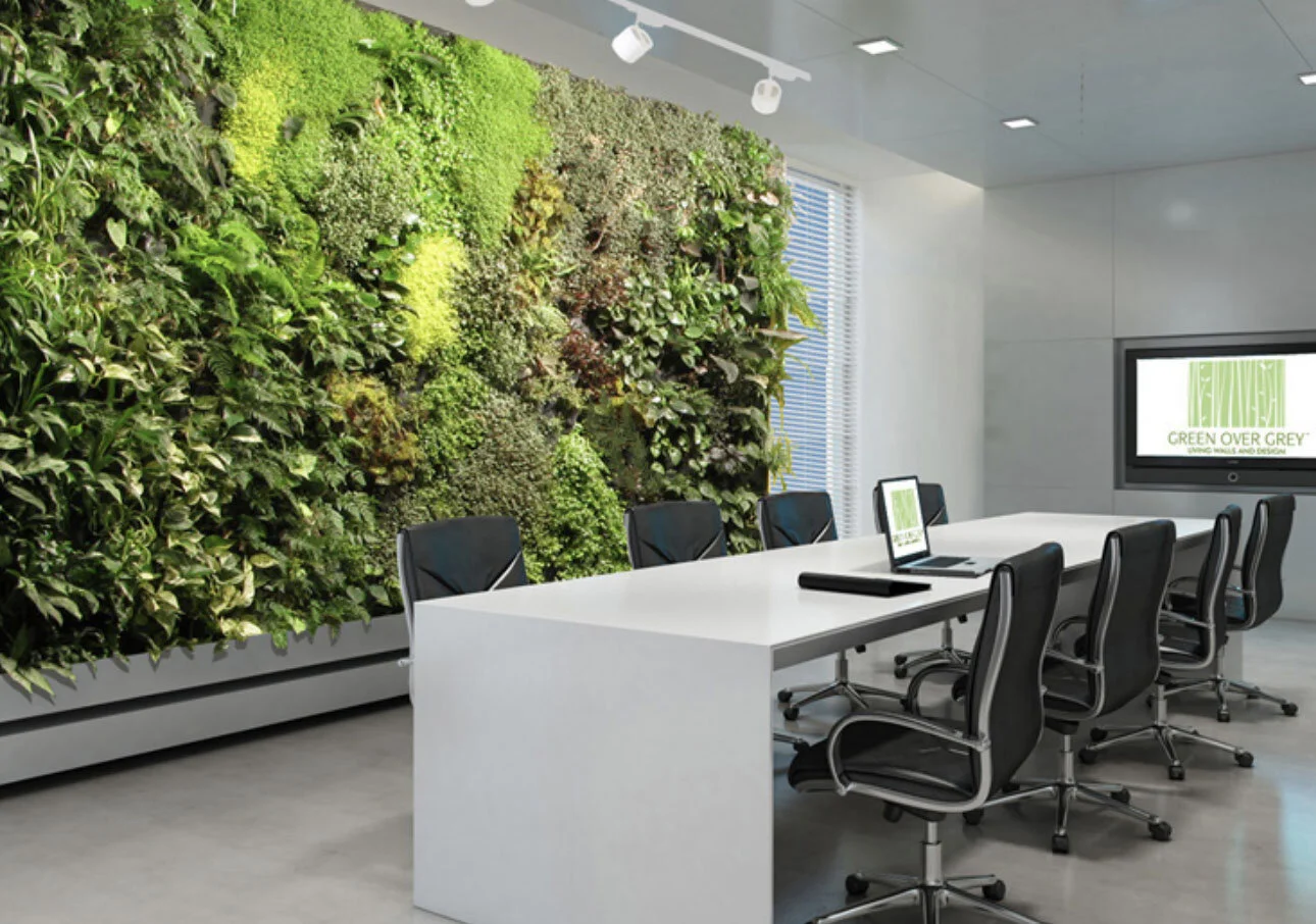 Moss / Plant Walls