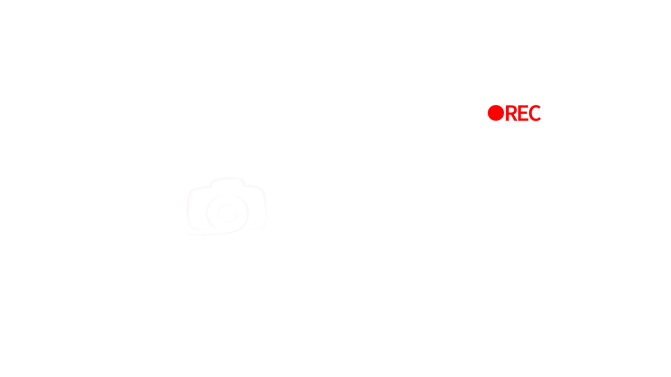 Patrick Wiggins