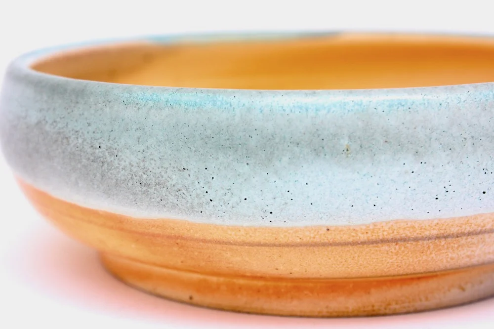 1catdish4.jpg