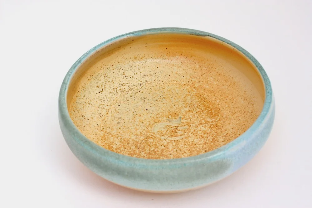 2catdish2.jpg