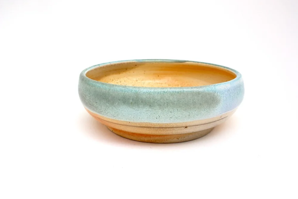 2catdish3.jpg