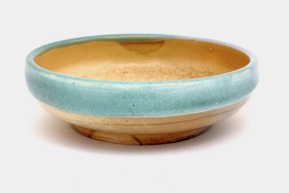 2catdish8.jpg