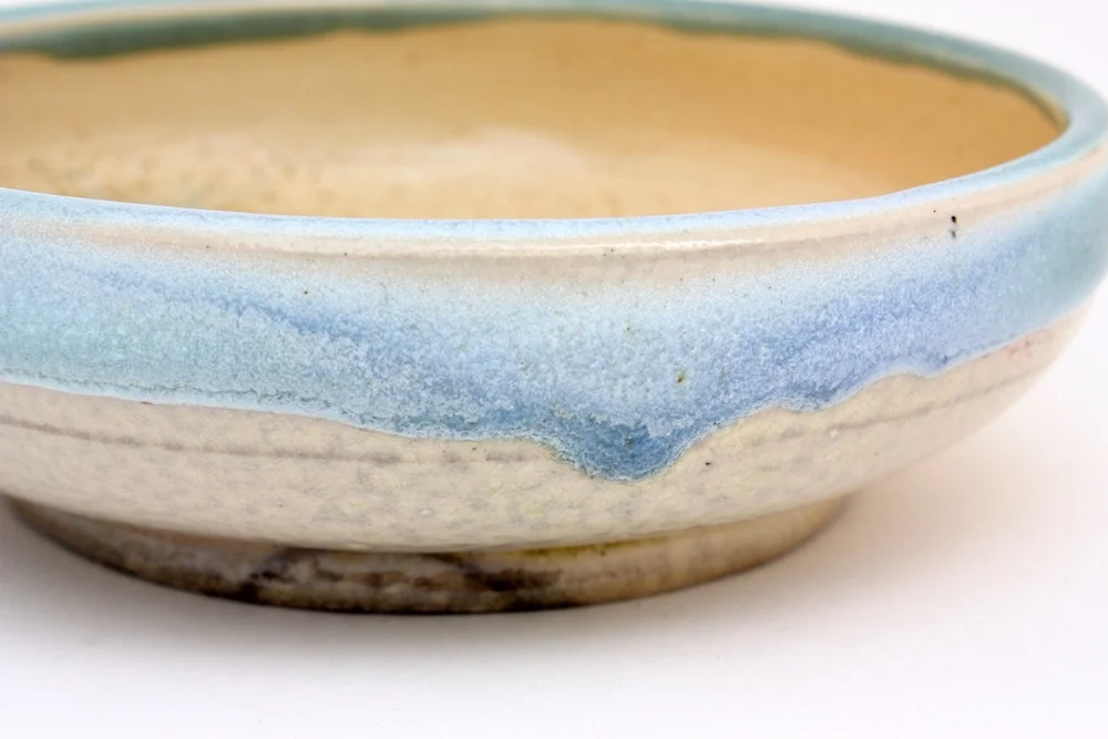 2catdish9.jpg