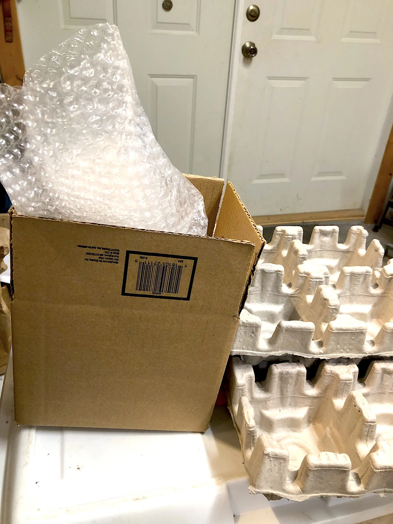 Let's Talk Free Shipping.