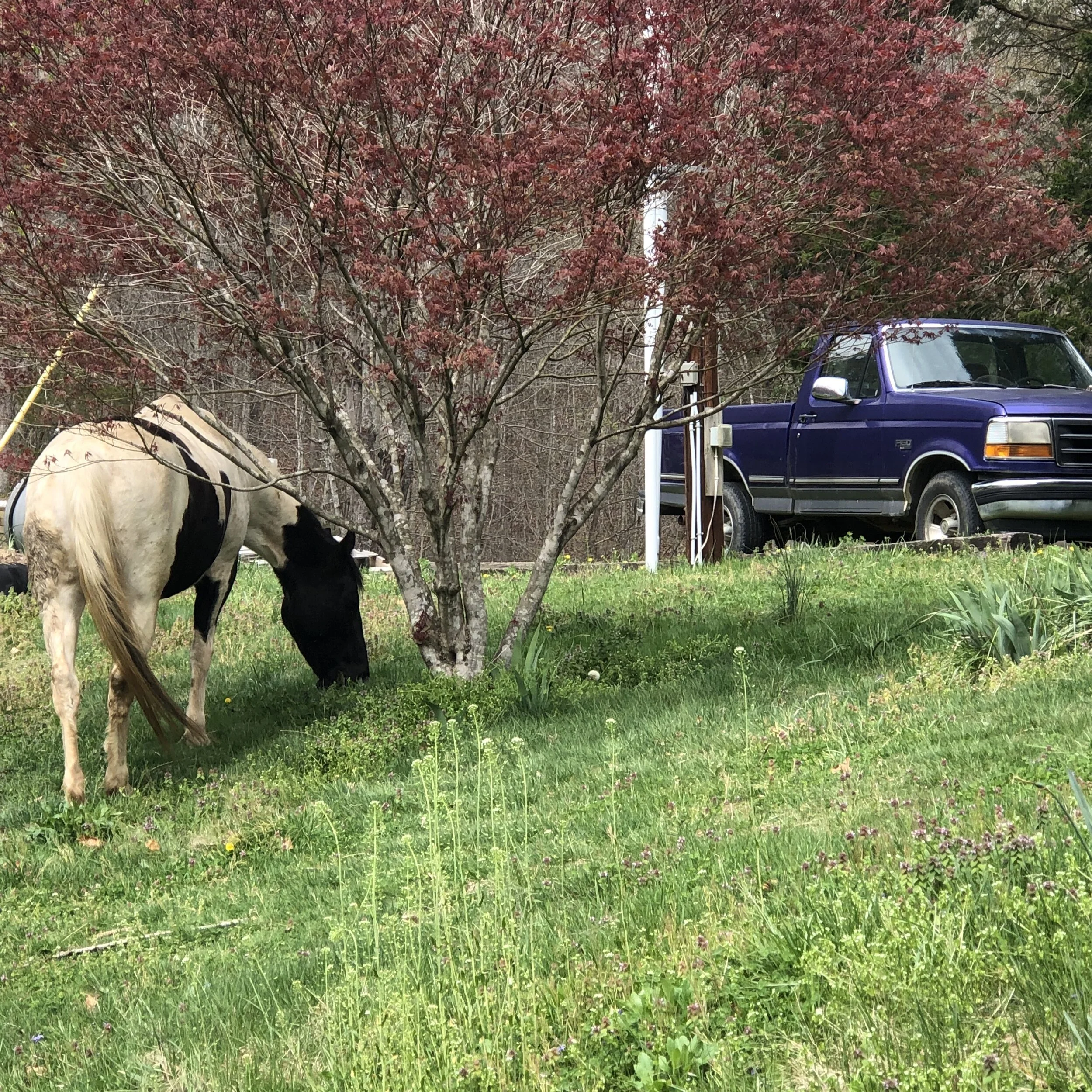 Studio Sale 2021 cancelled