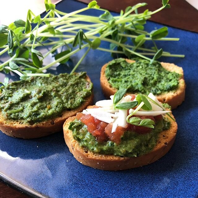Sun dried tomato pea pesto. 
So good. So easy. 🌱 &bull;1 large handful cut speckled pea microgreens &bull;olive oil (I love to use the oil from the sun dried tomato jar)
&bull;4-6 sun dried tomatoes &bull;1/2 tsp clove garlic (or 1/4 tsp of garlic p