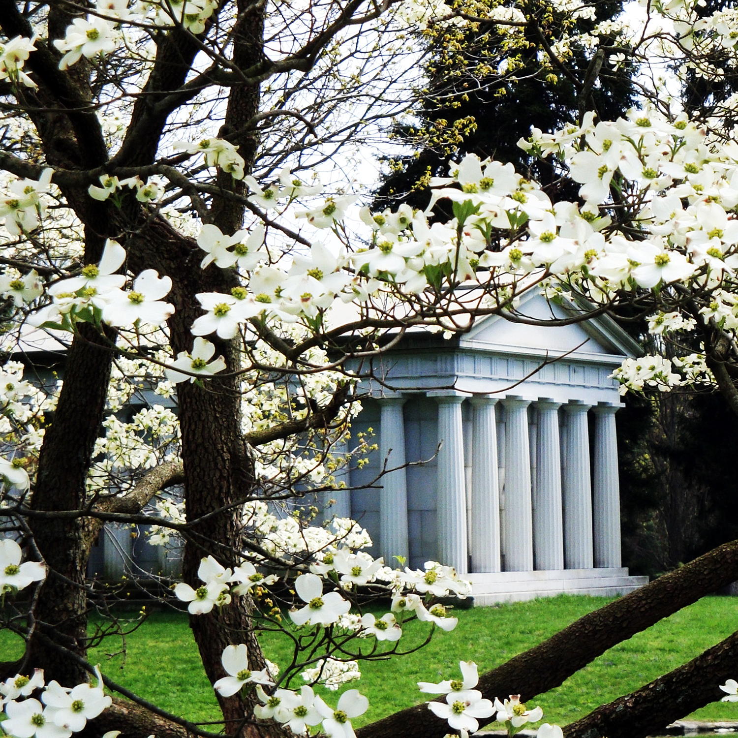 walking w/ strangers in Spring Grove