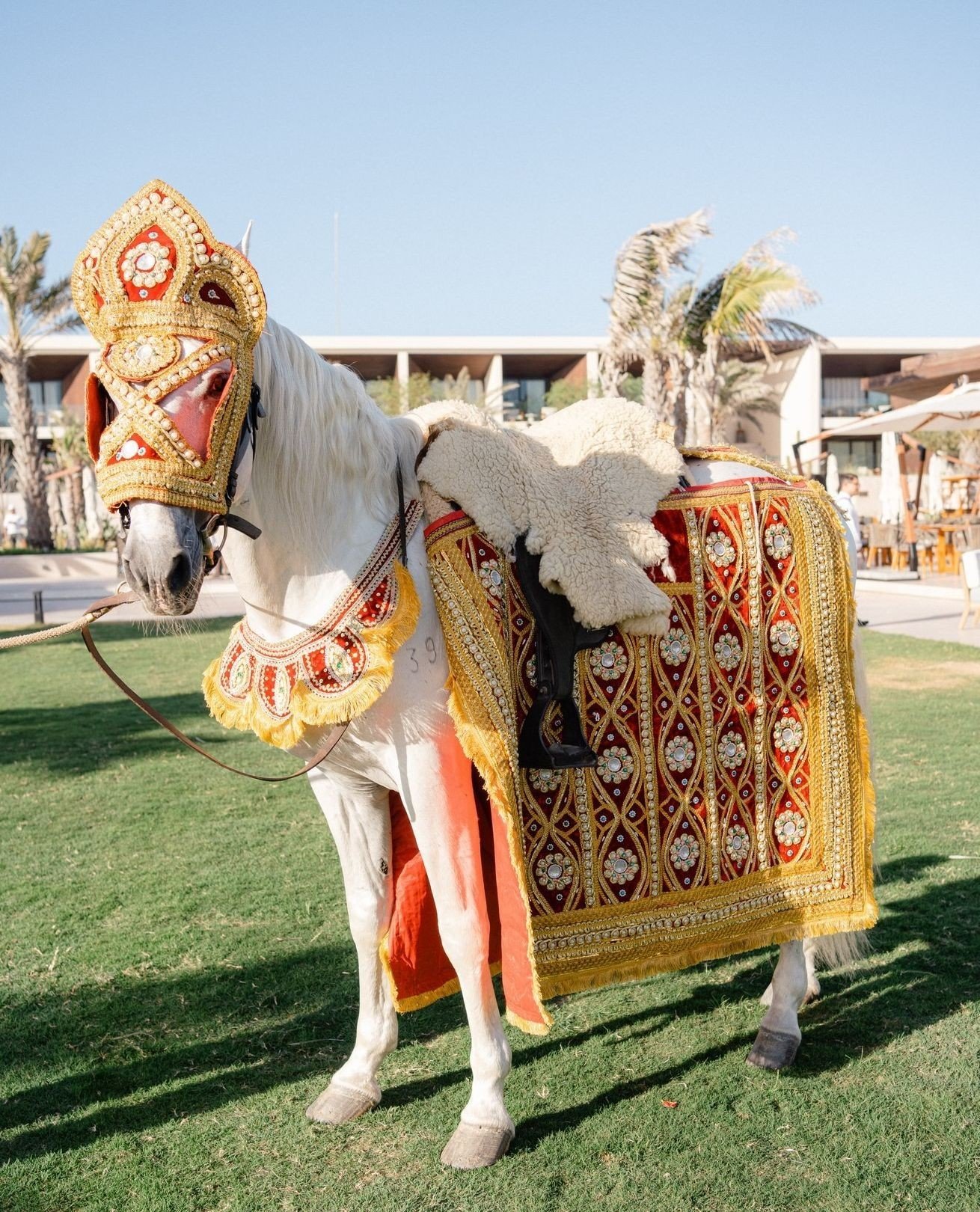 Ready to make that baraat entrance #PartnersinParadise⁠
⁠🇲🇽 @shaadidestinations⁠
👨🏻&zwj;🎨 @niralisevents⁠
📸 @mc_weddings☝🏼⁠
💄 @dolledupbylulu⁠
🖋 @lemonsandmehndi⁠
🎪 @prashe⁠
🎧 @desijunctiondjs⁠
🍽️ @cga.events ⁠
🍽️ @chef.anand