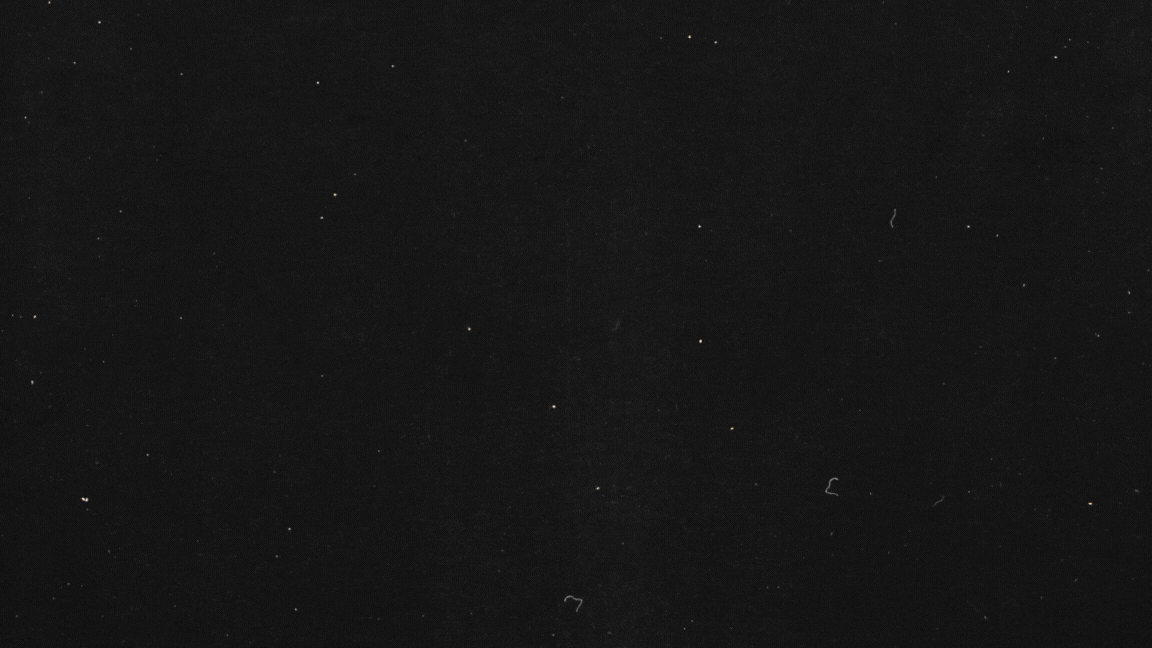 Untitled design (1).gif