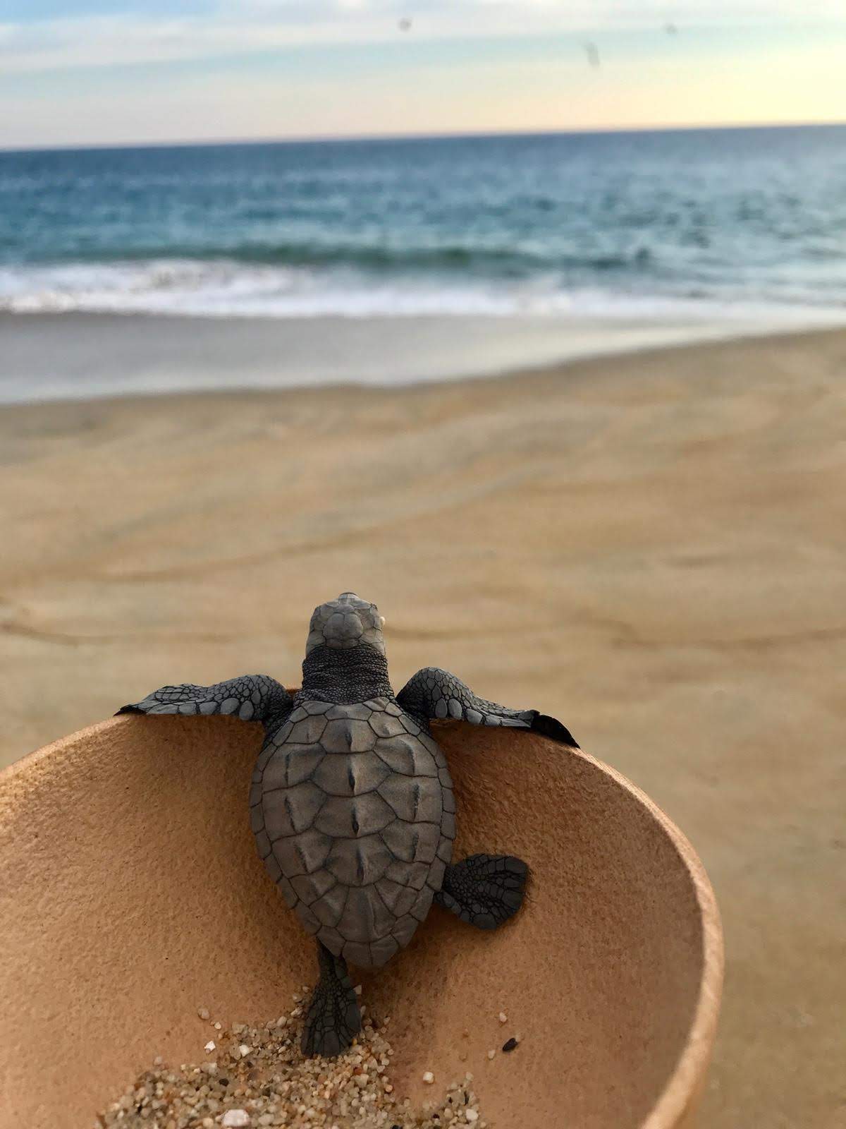 Eat, Drink, &amp; Be Merry: Puerto Escondido, Oaxaca, Mexico