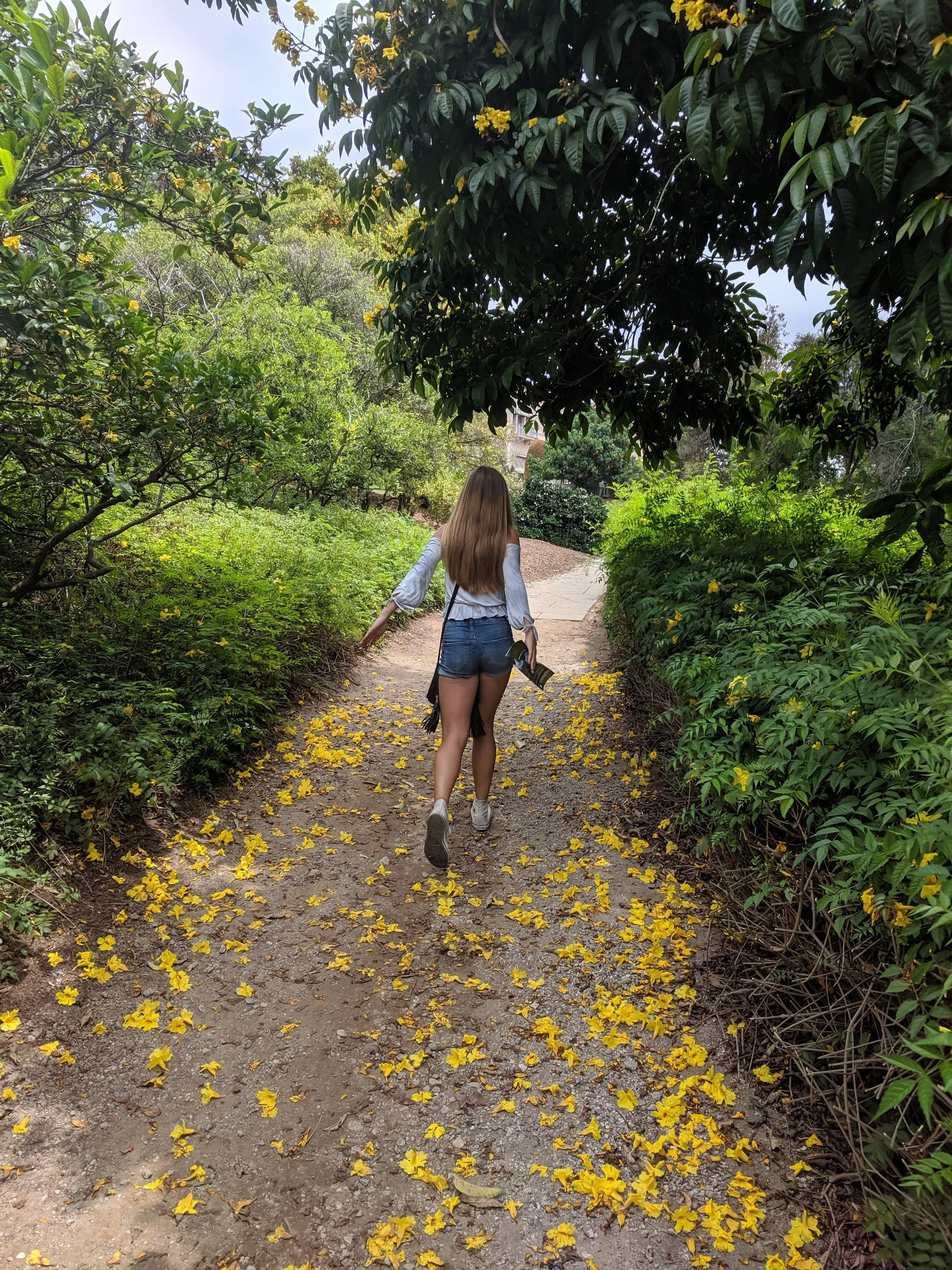 Summertime Adventures: Huntington Gardens