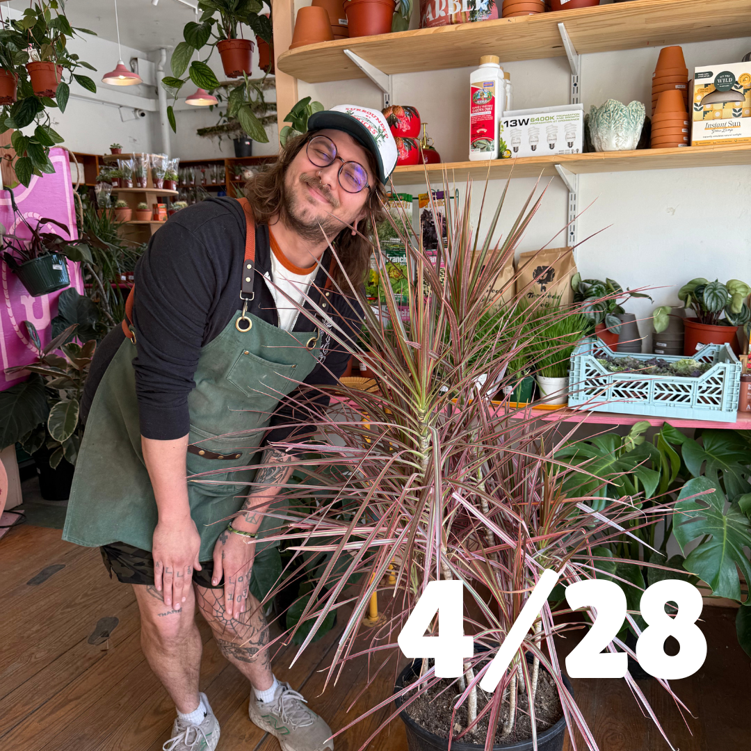 Plant Chat with Josh (4/28)