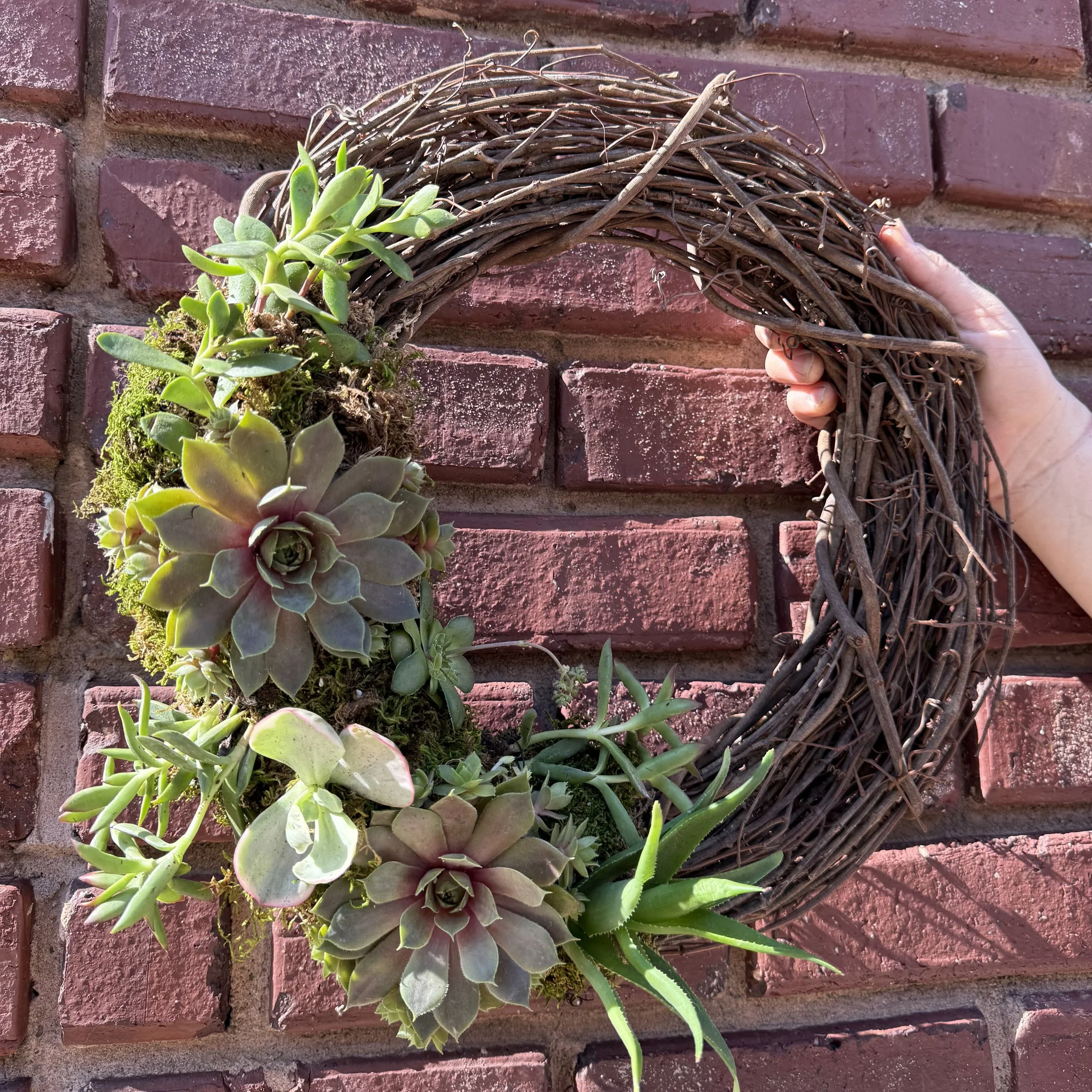 Living Wreaths: Create a Succulent Showstopper (6/27)