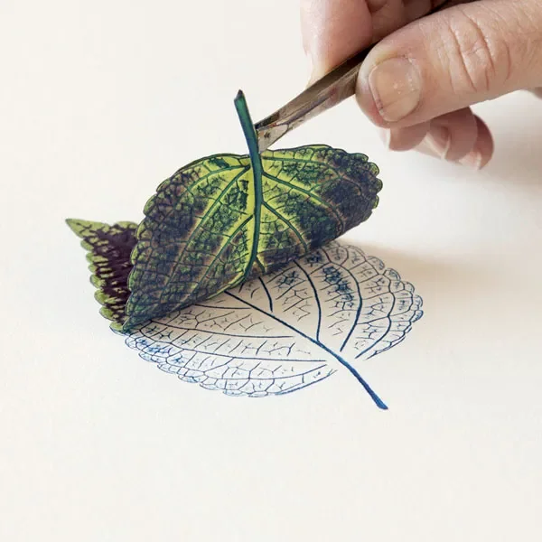 Take It or Leaf It: Leaf Printing with Tiana