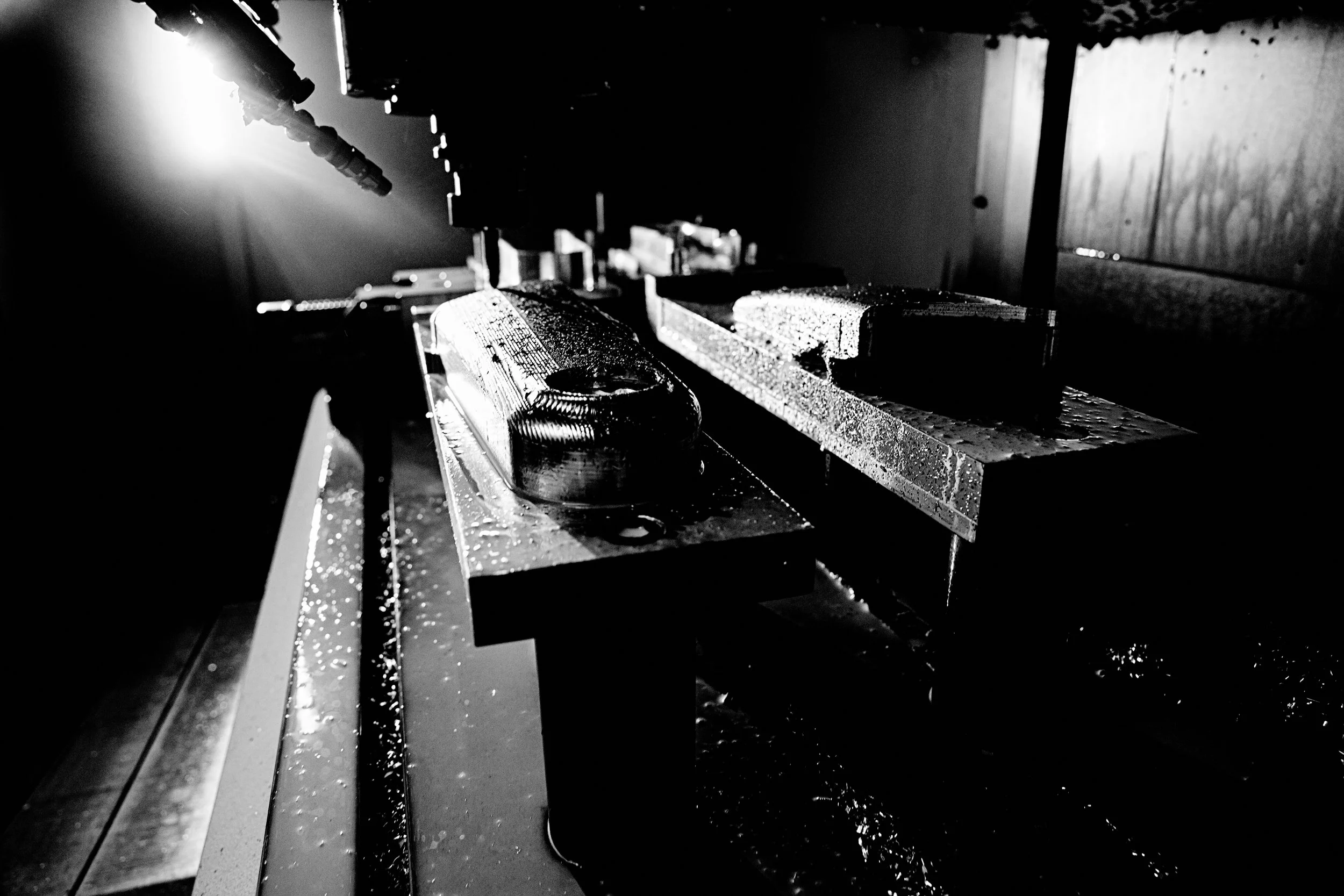 _H4A6698_Rizoma_Production_B&W.jpg