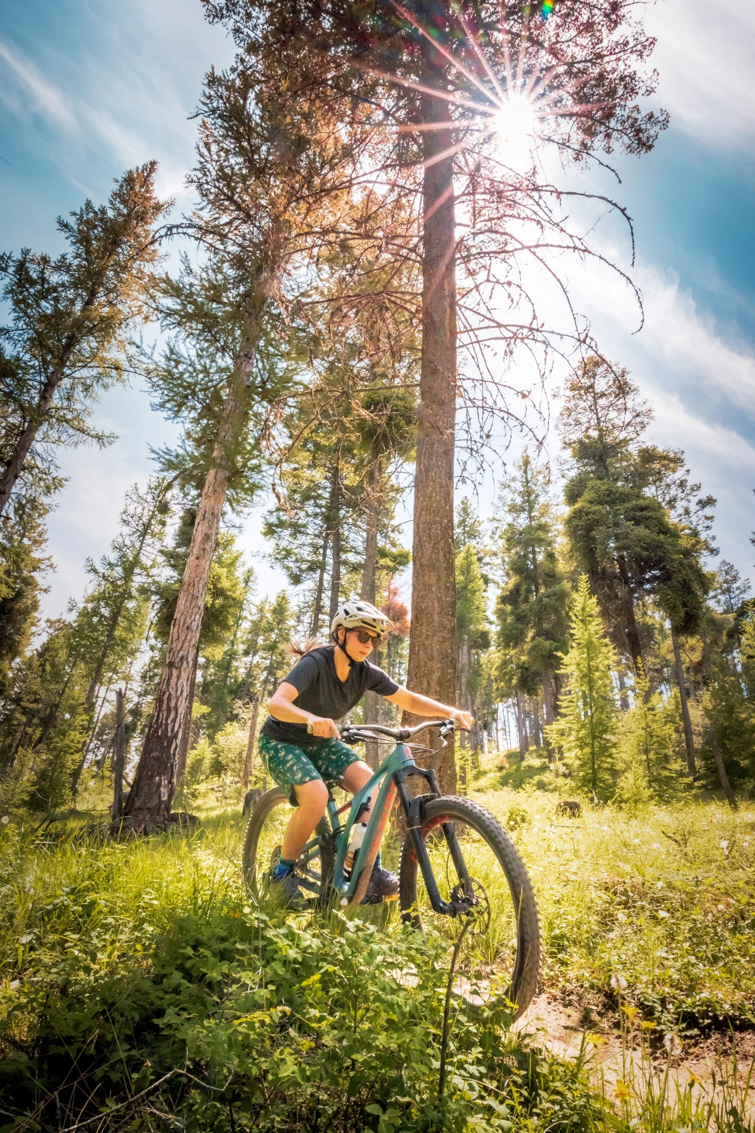 Lone-Pine-State-Park_500-v2 1500x2249.jpg