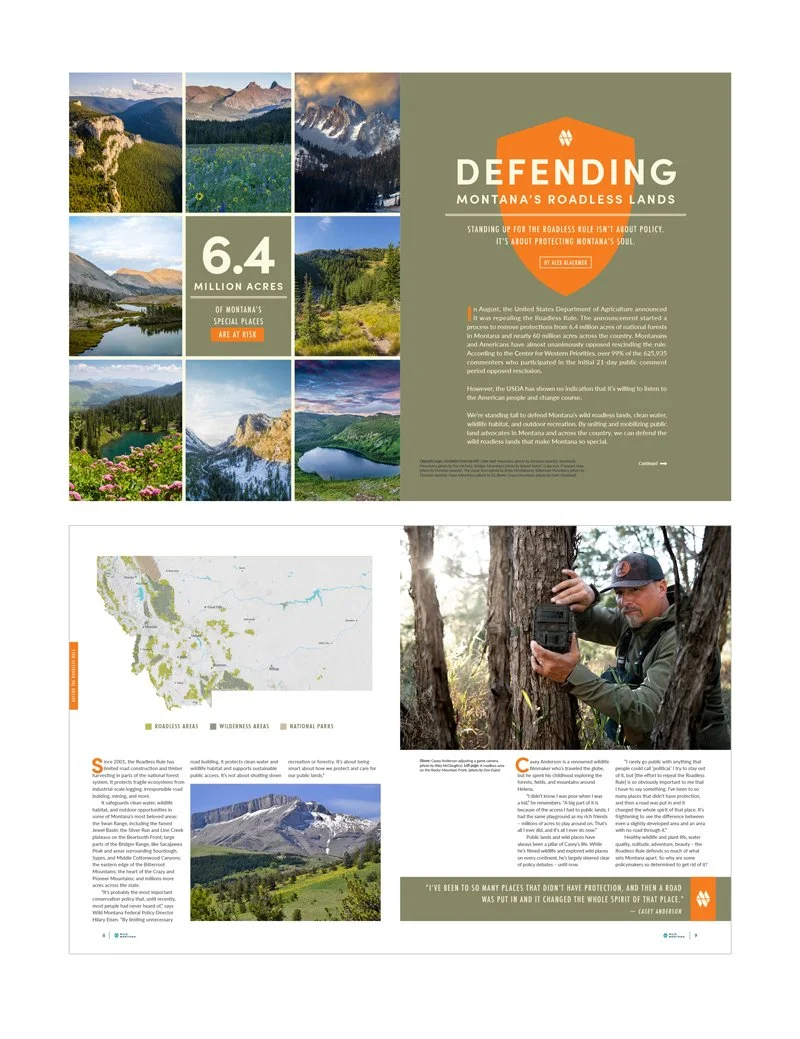 WM-Newsletter-Defend-800x1039.jpg