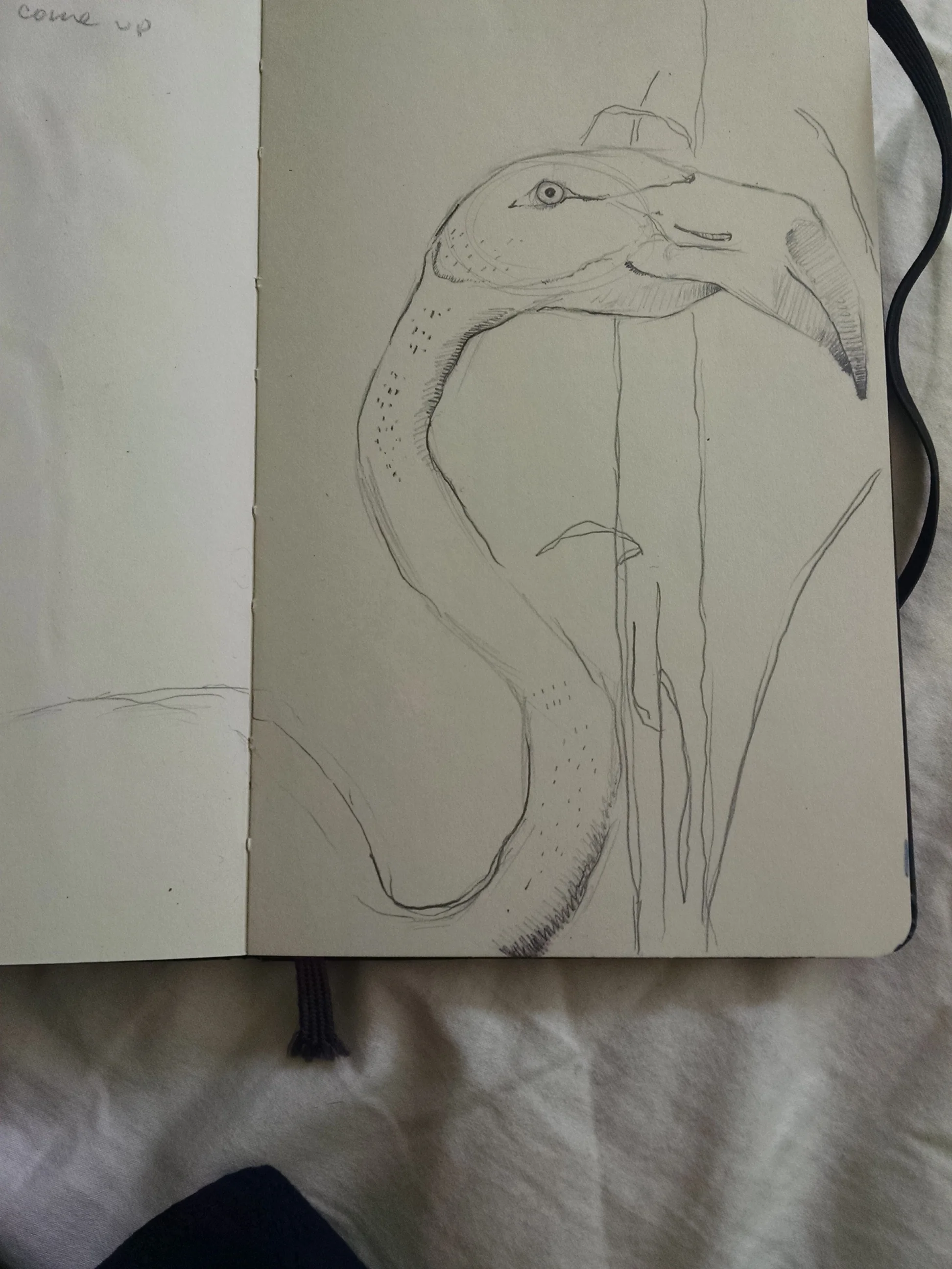 2015-03-30 14.17.00.jpg