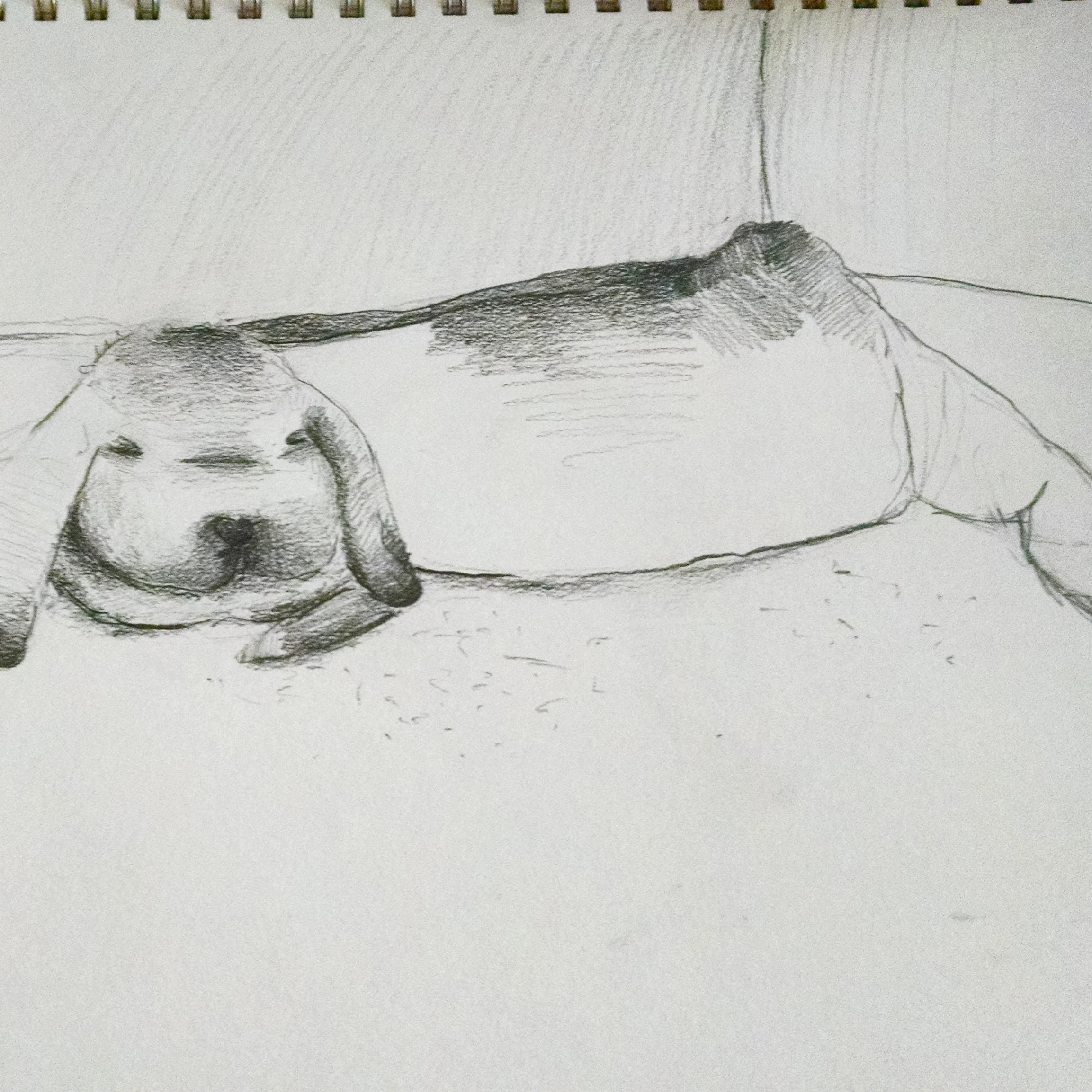 2015-12-25 12.24.12-2.jpg