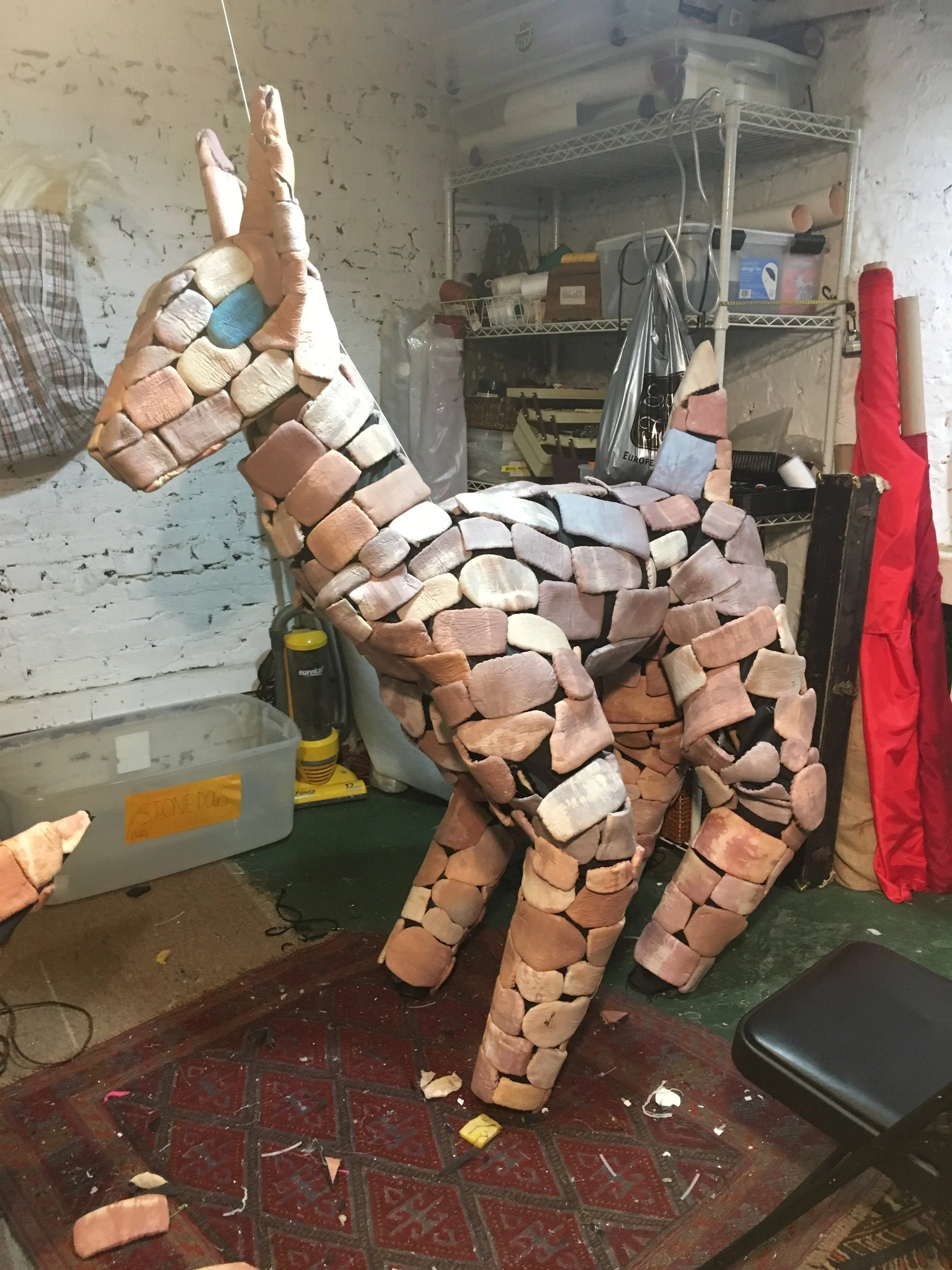 2017-01-11 12.10.37.jpg