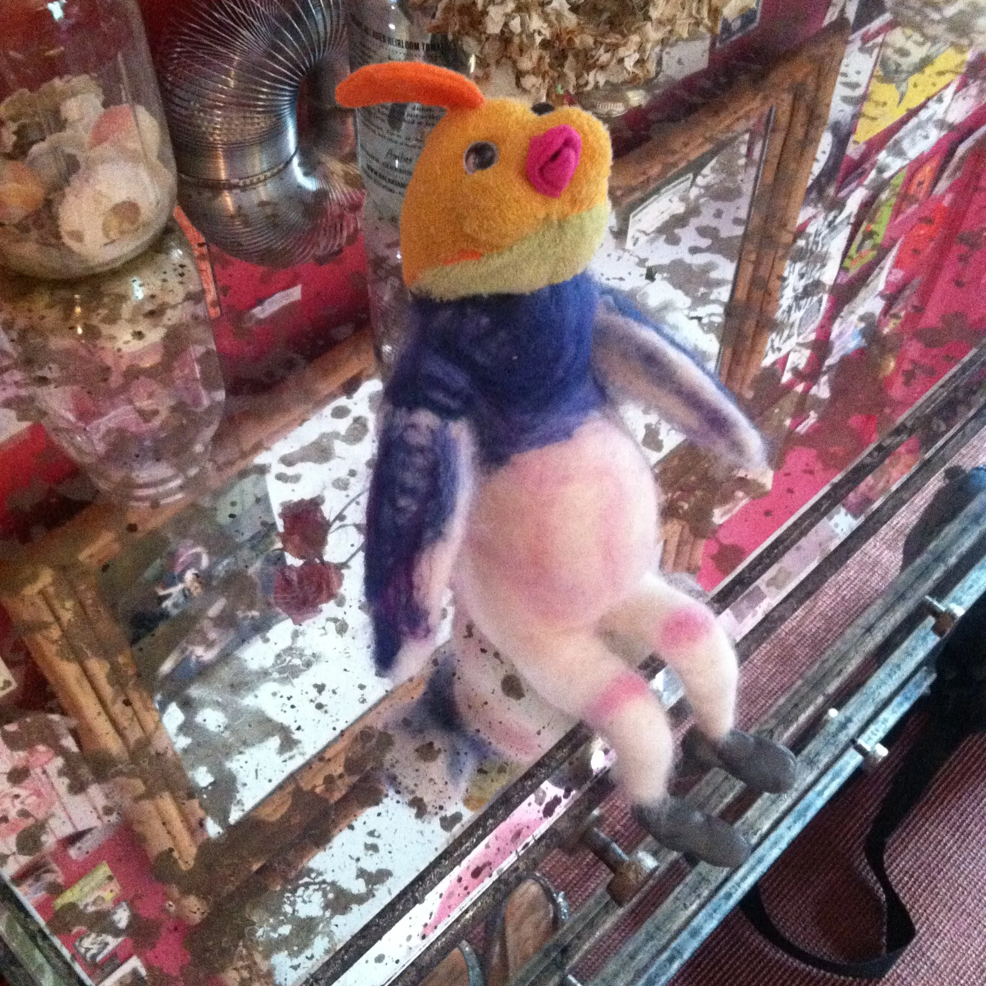 2014-11-30 11.21.23.jpg