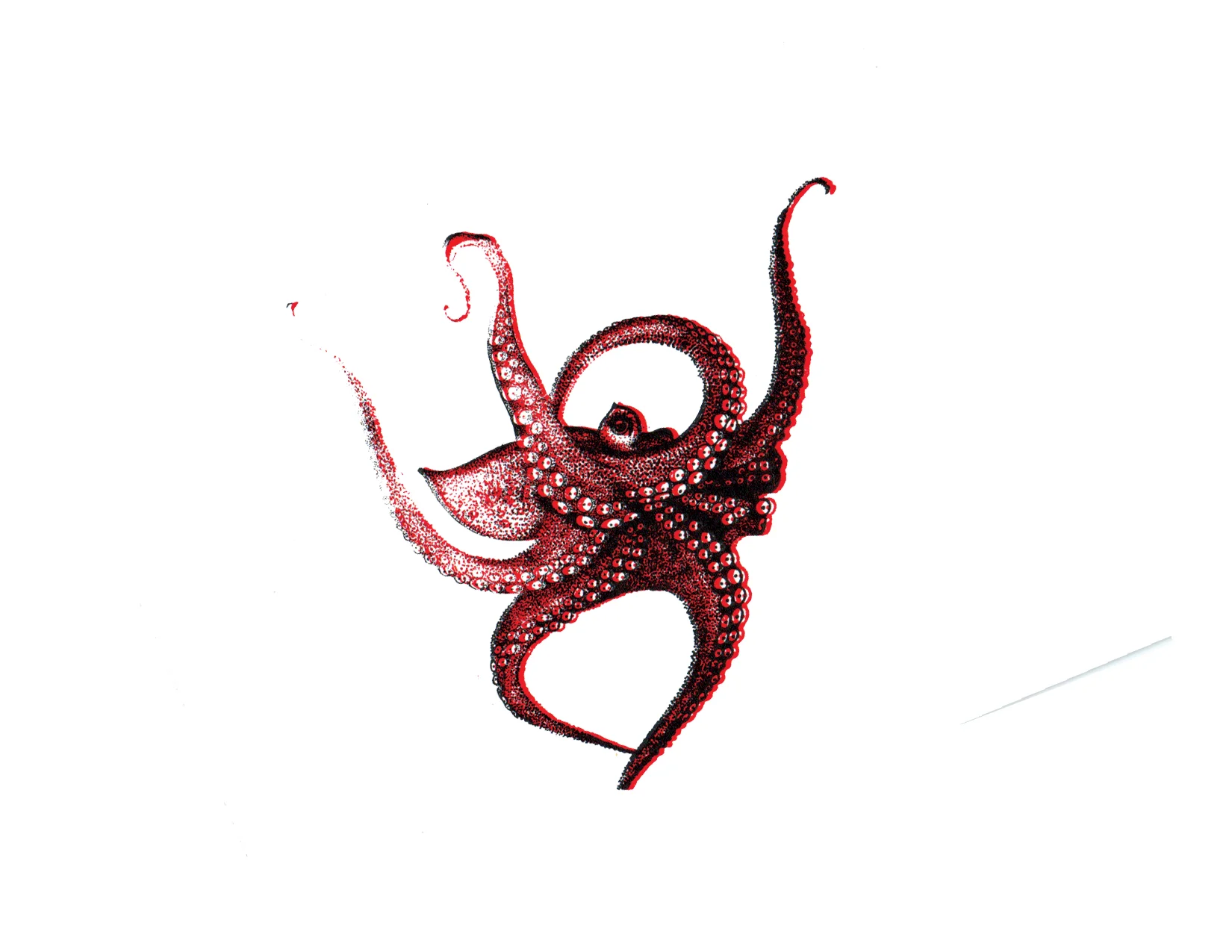 Octopus Print