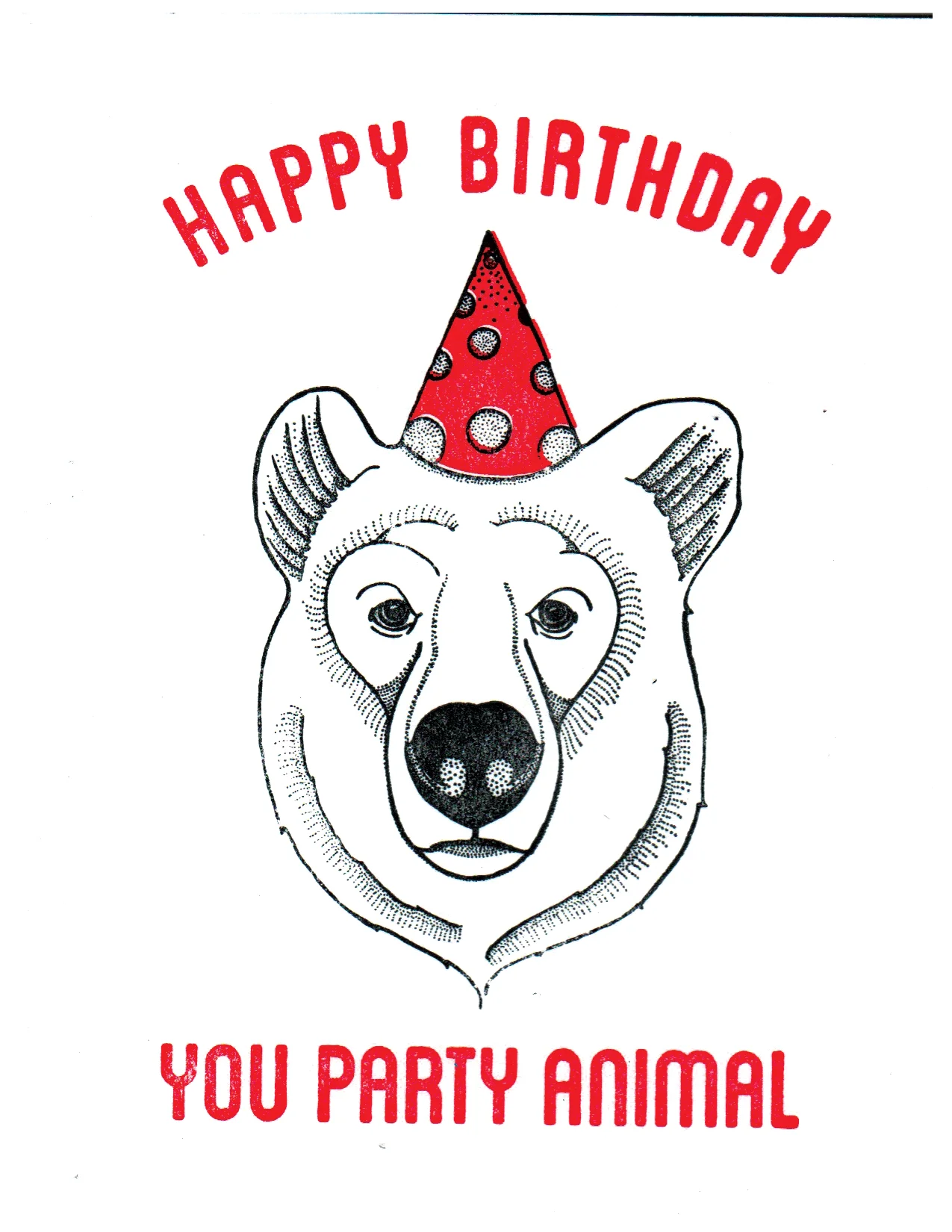 Party Animal - Bear Print