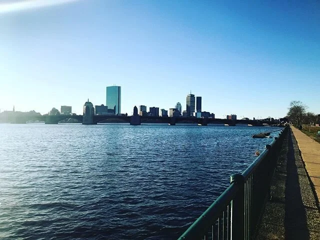 New Year same walk.  Not pictured, @readwithgeorge who would not cooperate with anything.