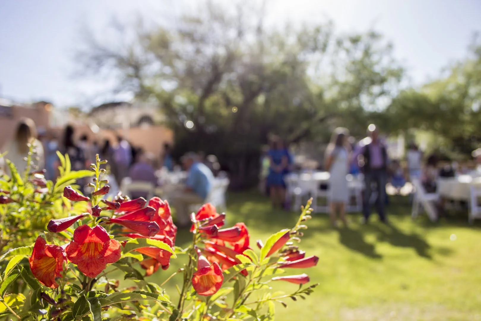 wedding_venue_tucson.jpeg