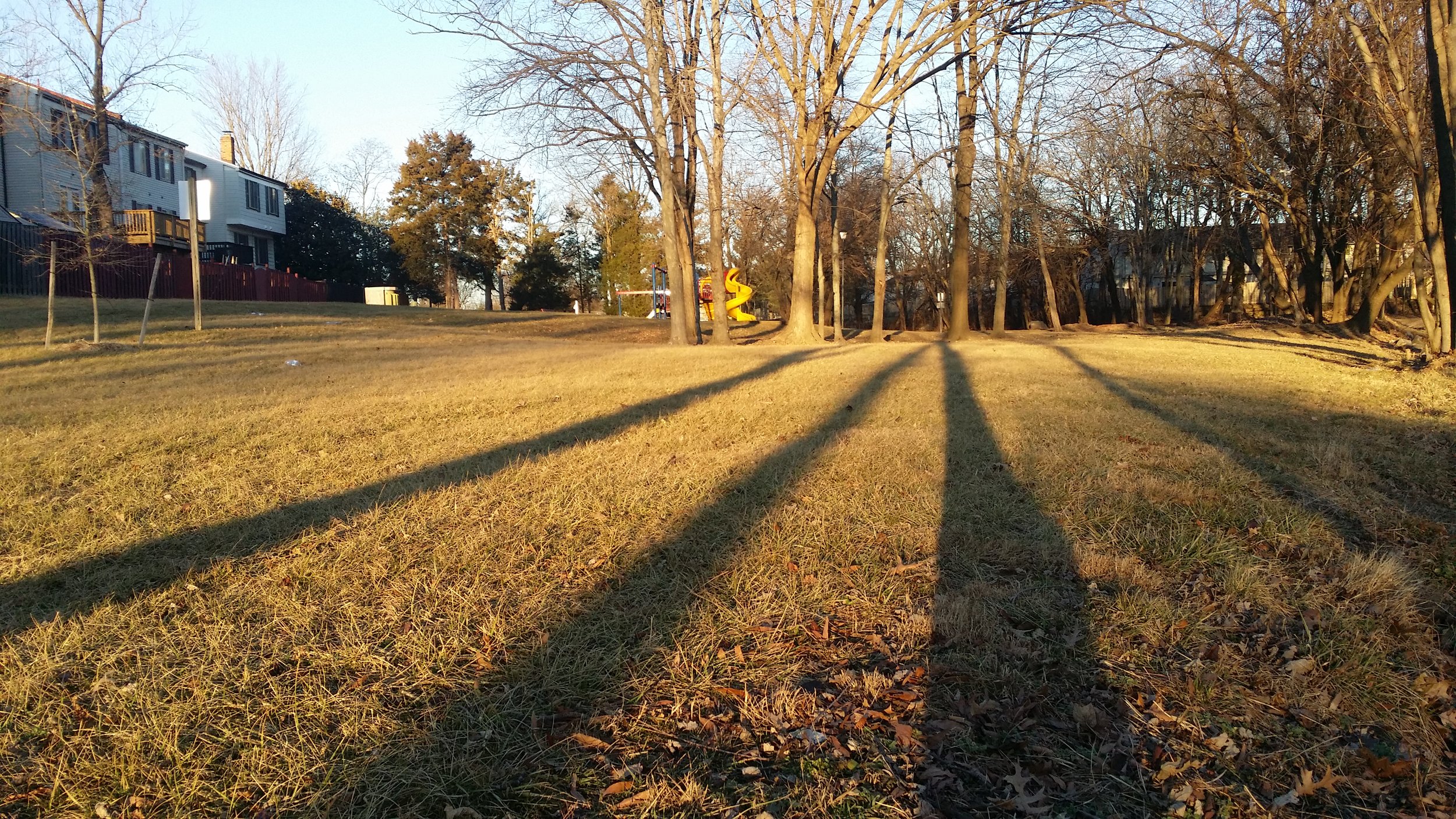20180123_164408.jpg