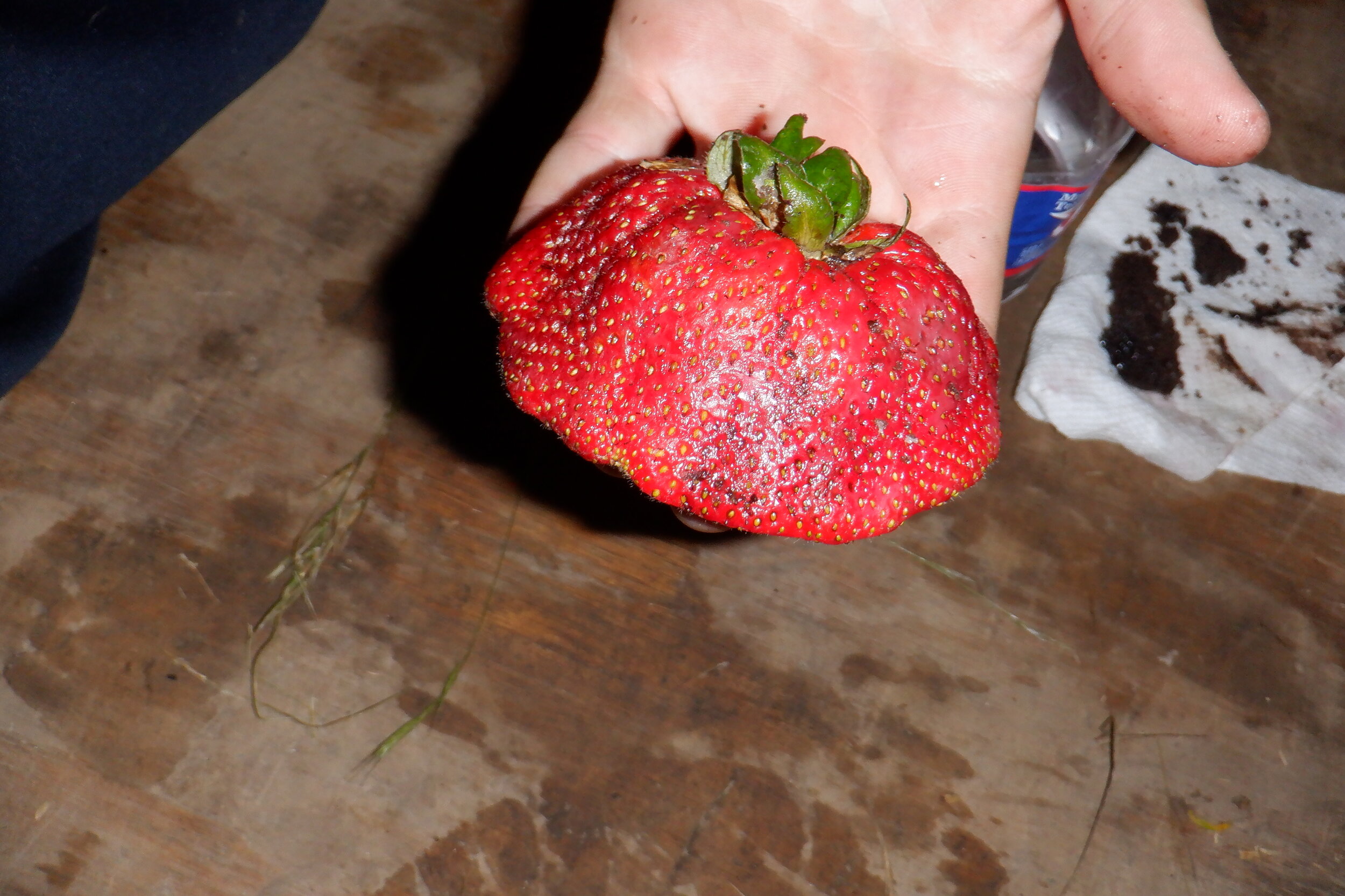 DSCF0472.JPG