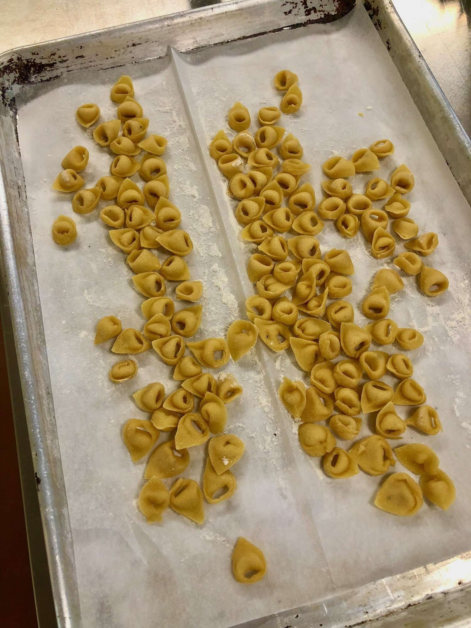 Fresh made tortellini