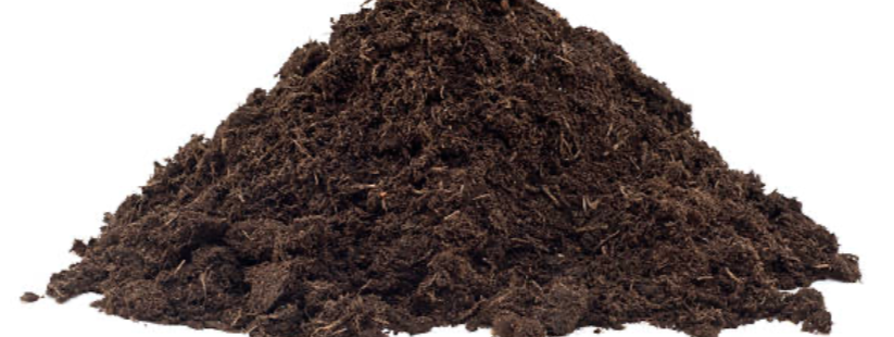 Screen Shot 2025-11-28 at 6.10.49 PM.png