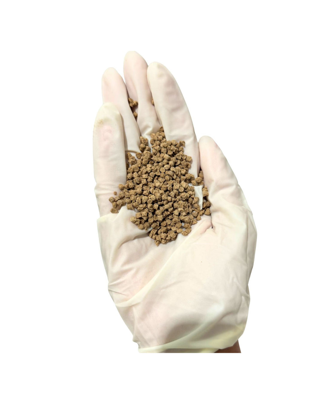Ant bait .png