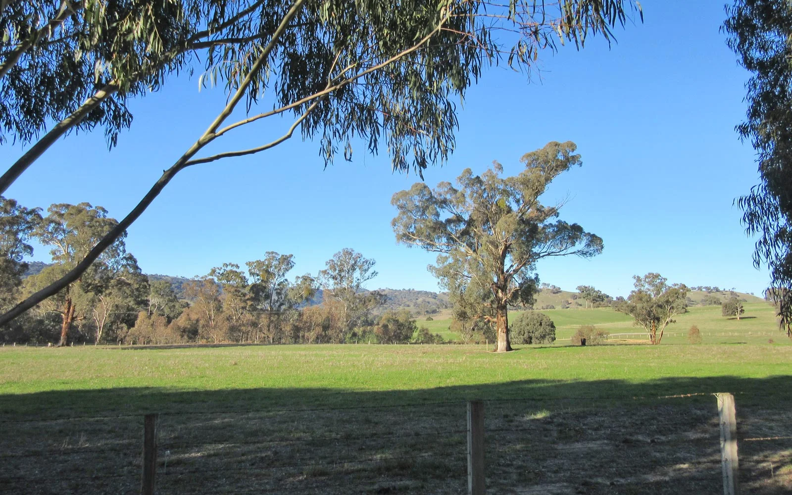 animal-control-technologies-australia-protects-livelihoods.jpg