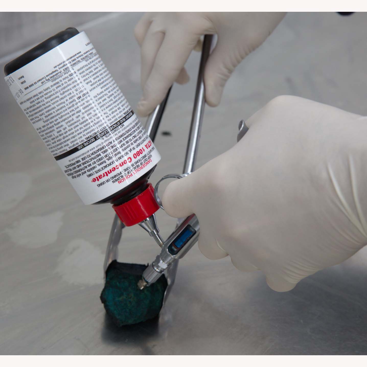 Cooked liver baits injection.jpg