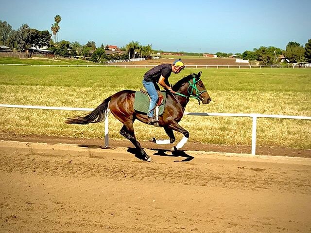 Hope (JC: Wikolia), owned by the Fishbough family is making huge strides with her race training! We miss having her at the ranch but can&rsquo;t wait to cheer her on at the races when she&rsquo;s ready!!! 🐎