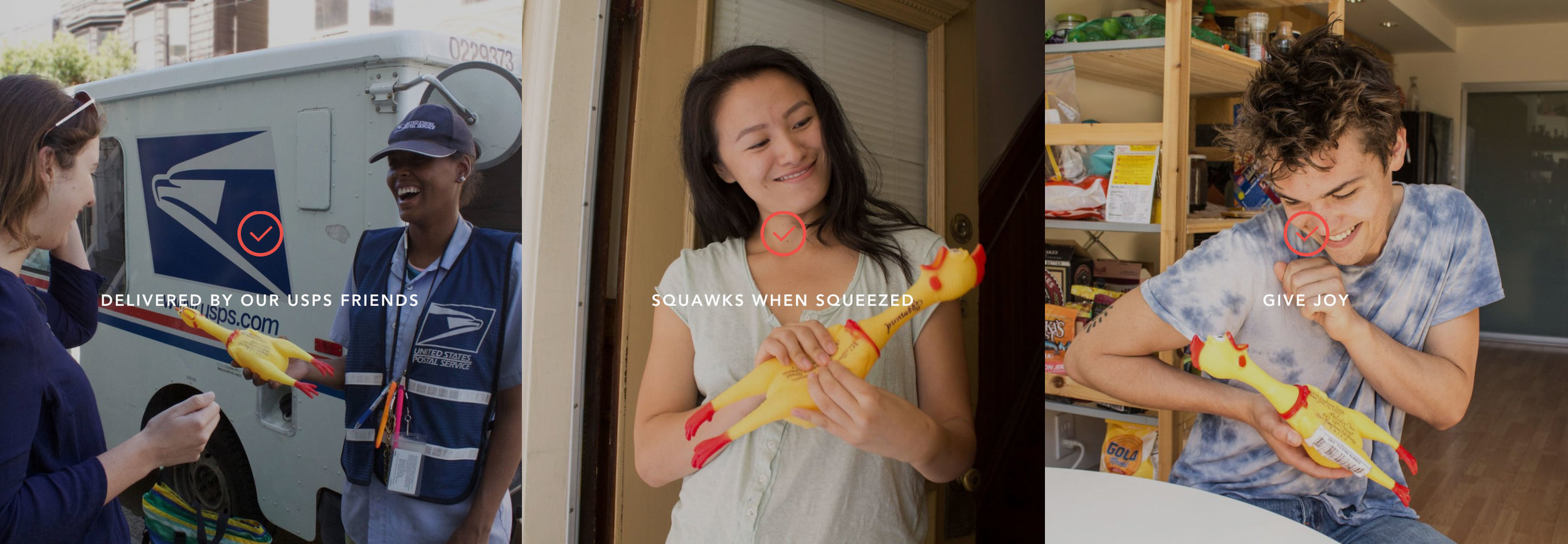 chicken_gallery_row.jpeg