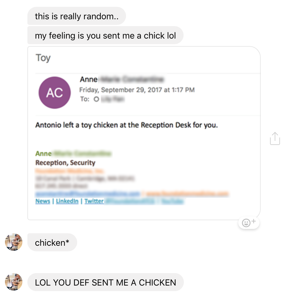 lily_chicken.png