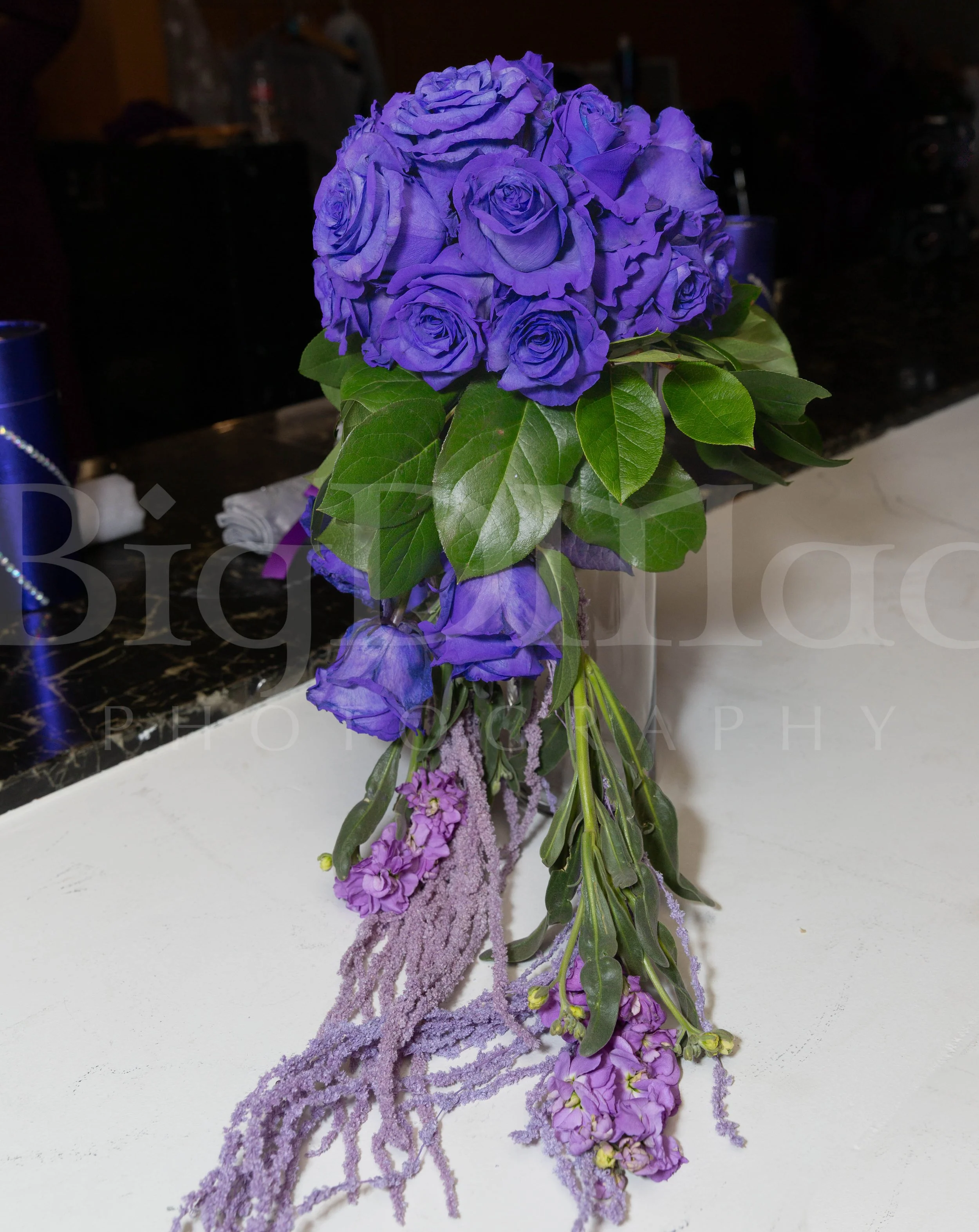 Wilkenfeld_Bronson_Preview.Photos-58.jpg