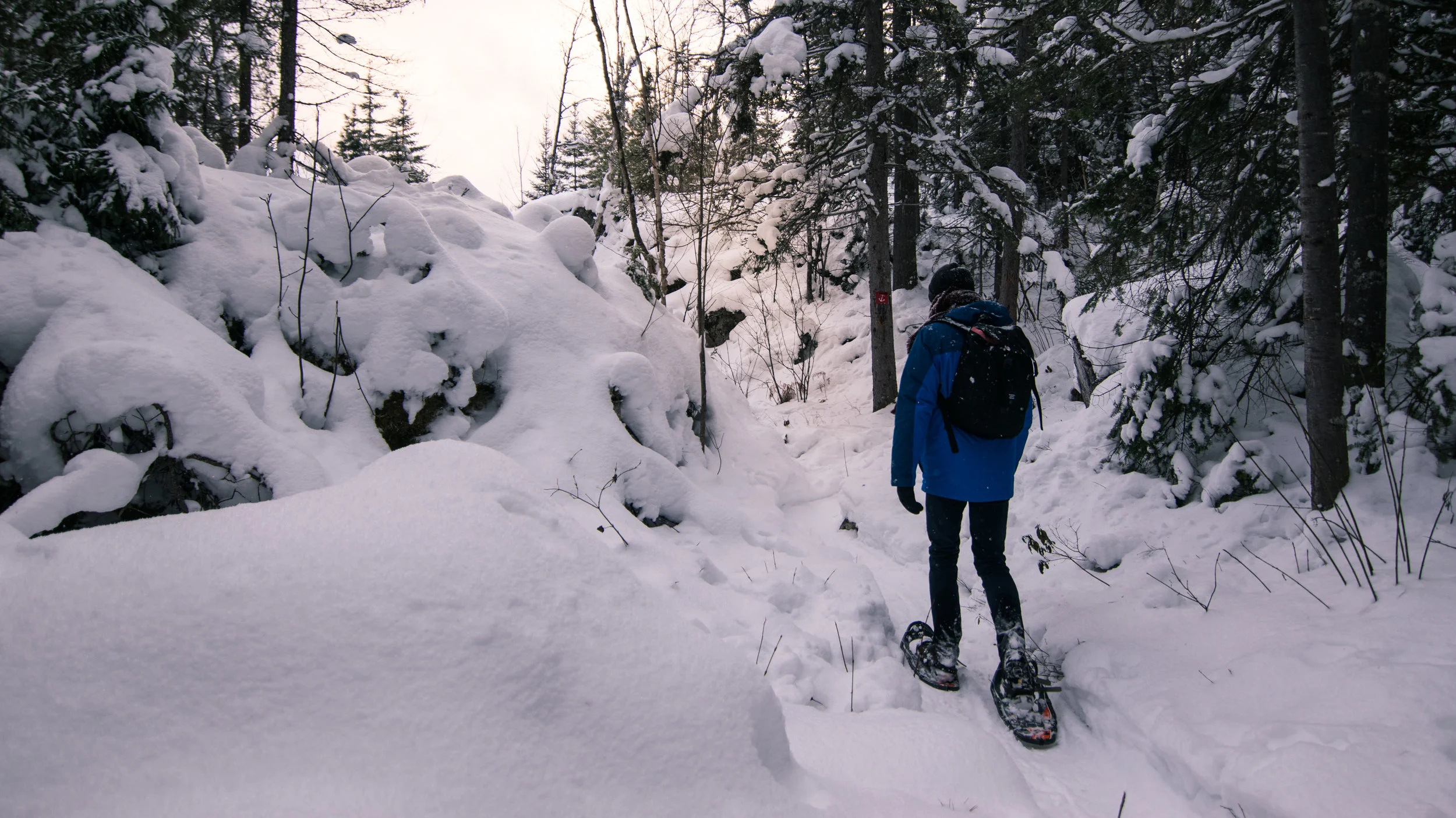 2016-12_Coupe_du_Matelot_-_snowshoeing_05.jpg