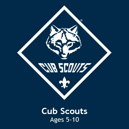 Cub Scouts Tile.jpg
