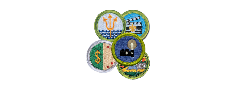 Merit+Badge+Webpage+Icon.png