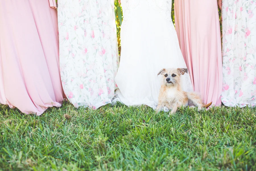 Amanda_Jake_Wedding_Blog-1-4.jpg