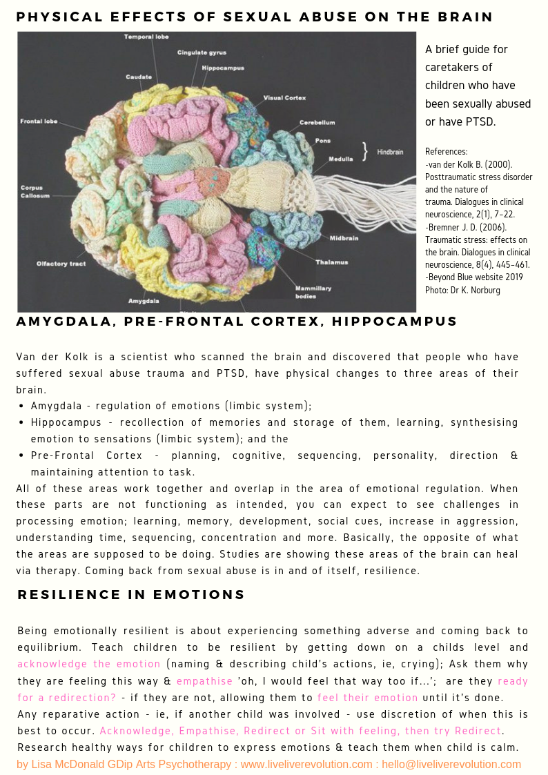 Trauma and the Brain-2.png