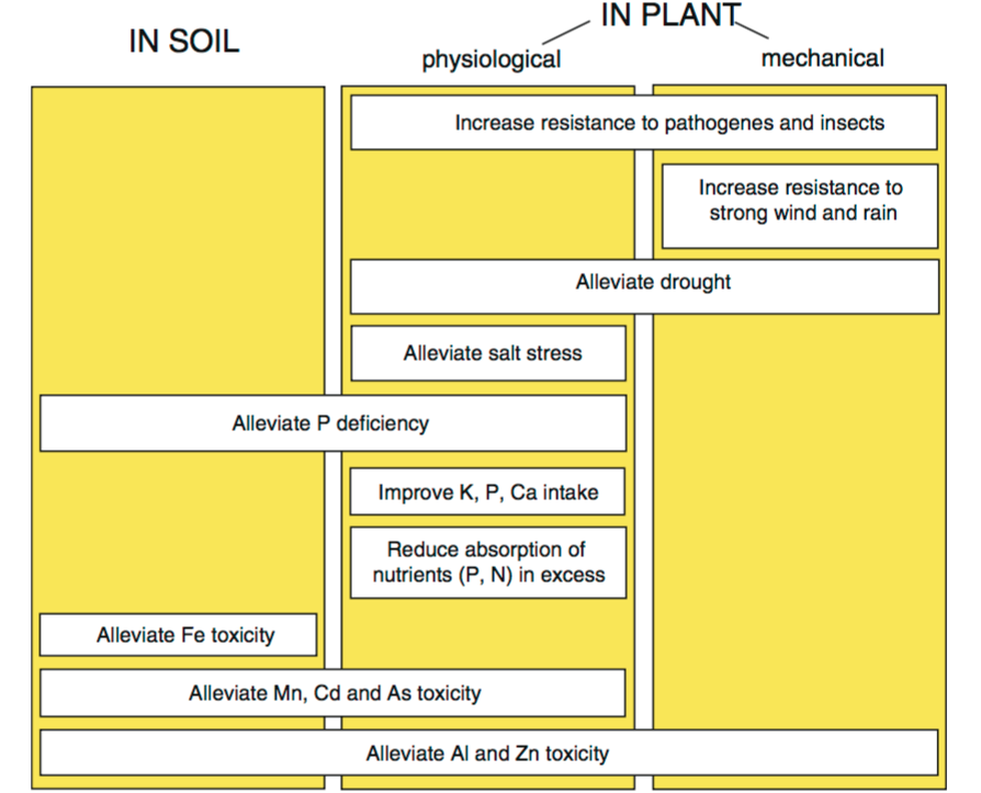 Synthesis of the benefits of Si for crops under various environmental stresses; the mechanical mechanism is due to the presences of phytoliths.