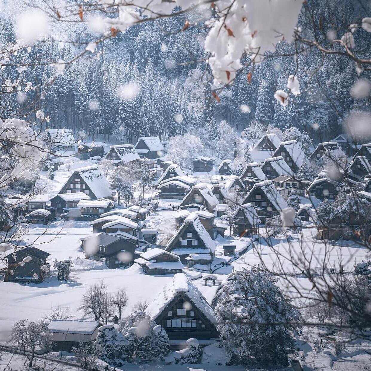 #winter #snow #beauty #winterwonderland